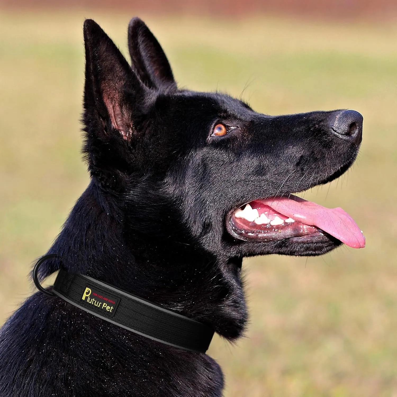 Plutus Pet Tactical Dog Collar, Reflective, Adjustable Heavy Duty Dog Collar, Soft Padded and Comfortable, for Small Medium and Large Dogs (Black, XL)