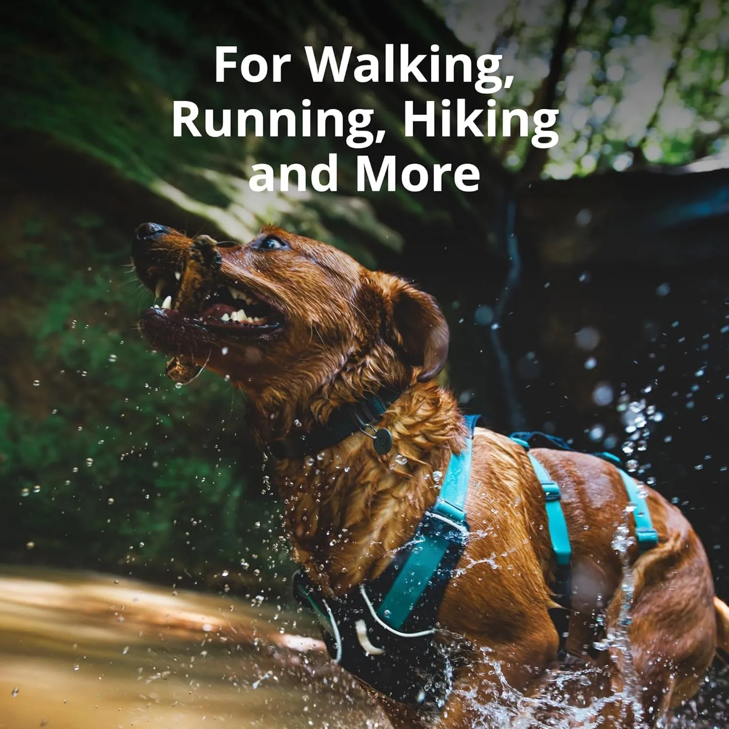 Ruffwear, Flagline Dog Harness, Lightweight and Reflective, No Pull Dog Lift Harness for Hiking, Running and Everyday Use, Sage Green, XX-Small