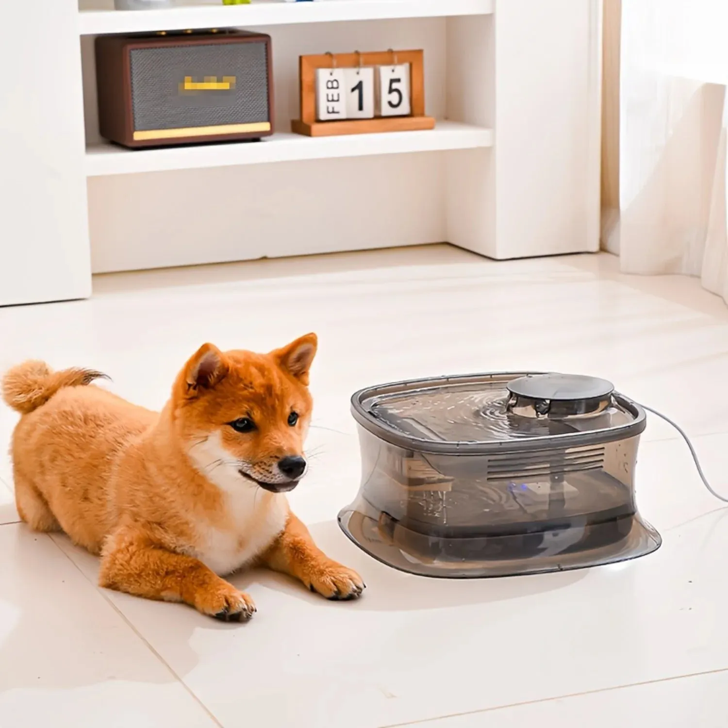 Smart Silent Automatic Pet Water Fountain for Cats