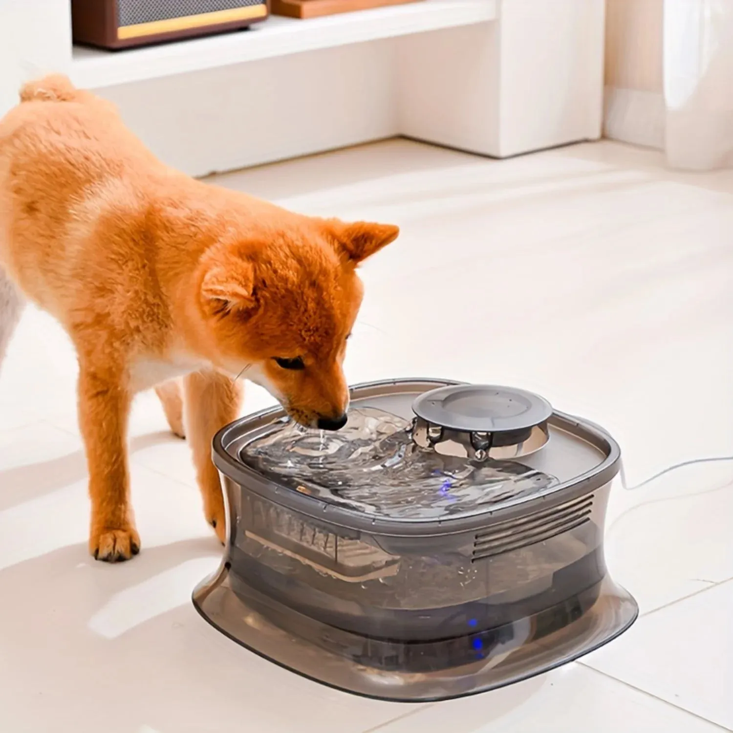 Smart Silent Automatic Pet Water Fountain for Cats