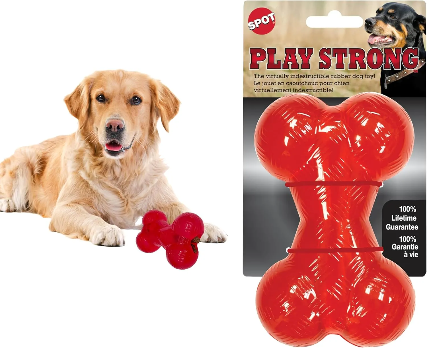 SPOT Play Strong Bone- Durable TPR Long Lasting Dog Chew for Aggressive Chewers, Hole for Treats, Virtually Indestructible Toy for Medium & Large Dogs & Puppies - 6.5 inch