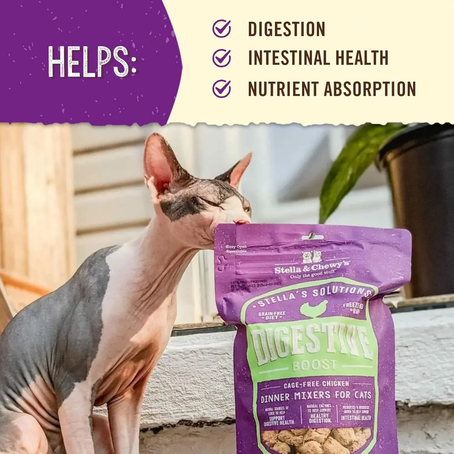 Stella & Chewy's  Stellas Solutions Digestive Boost  Cage-Free Chicken Dinner Mixer  Freeze-Dried Raw, Protein Rich, Grain Free Cat Food  7.5 oz Bag
