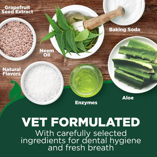 Vet's Best Enzymatic Dog Toothpaste