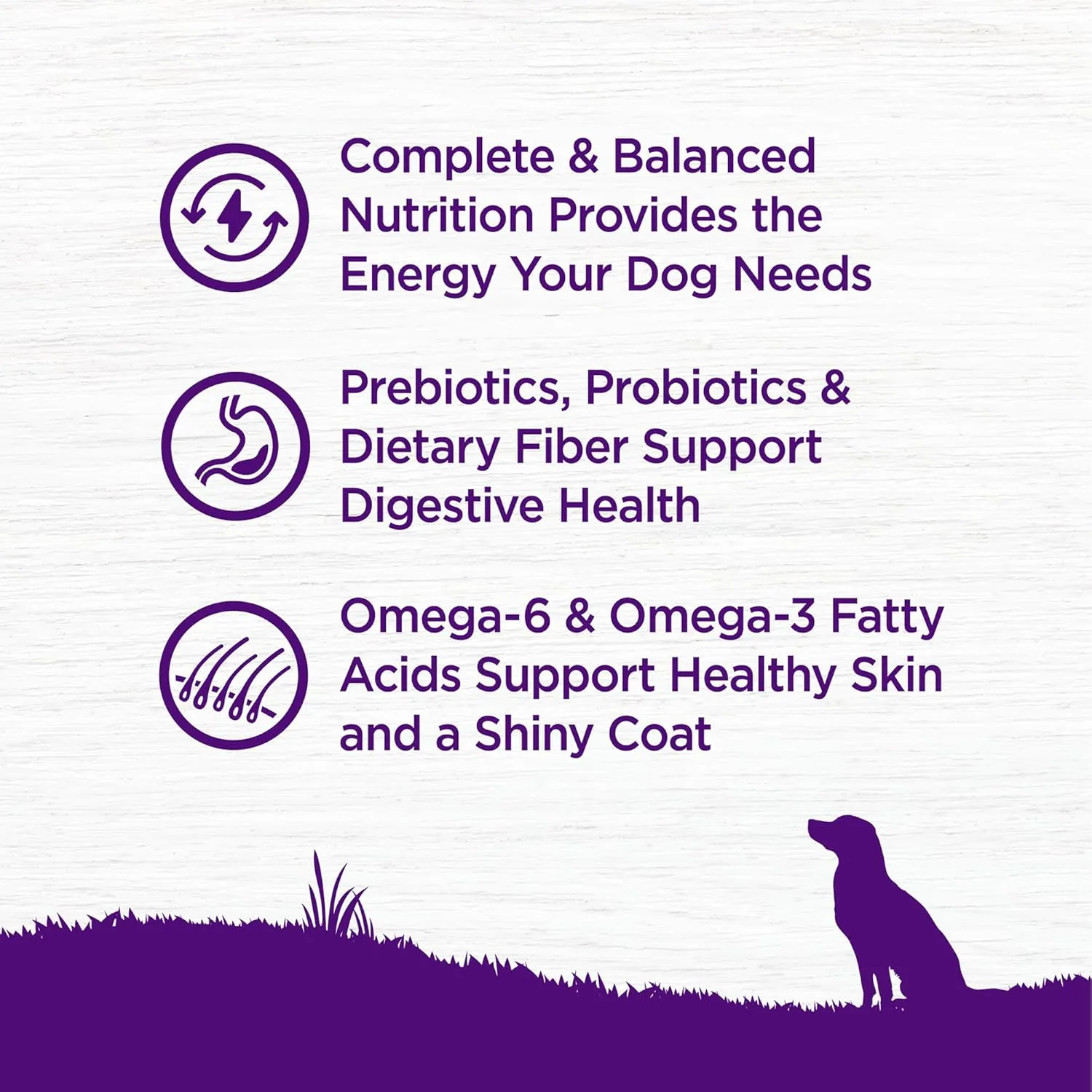 Wellness Complete Health Dry Dog Food, Wholesome Grains, Natural, Whitefish & Sweet Potato Recipe, (15-Pound Bag)