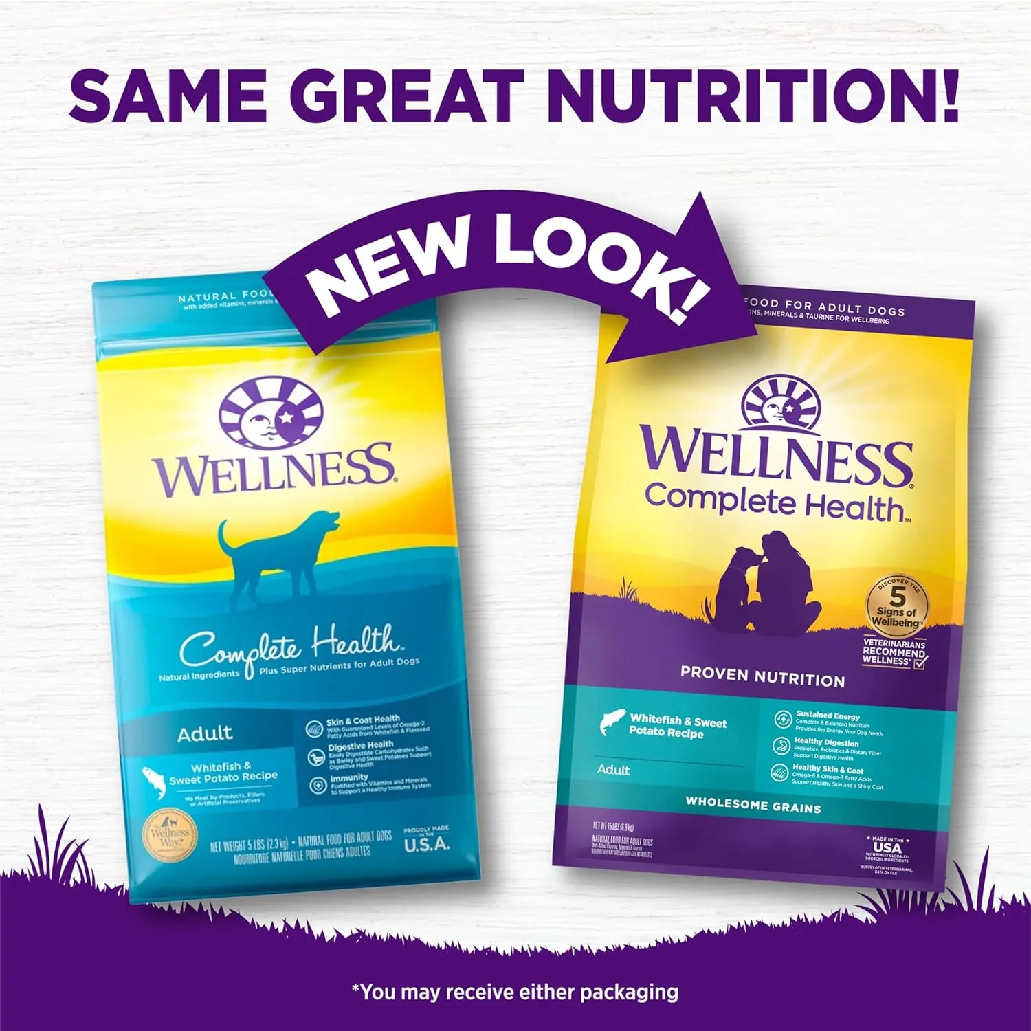 Wellness Complete Health Dry Dog Food, Wholesome Grains, Natural, Whitefish & Sweet Potato Recipe, (15-Pound Bag)