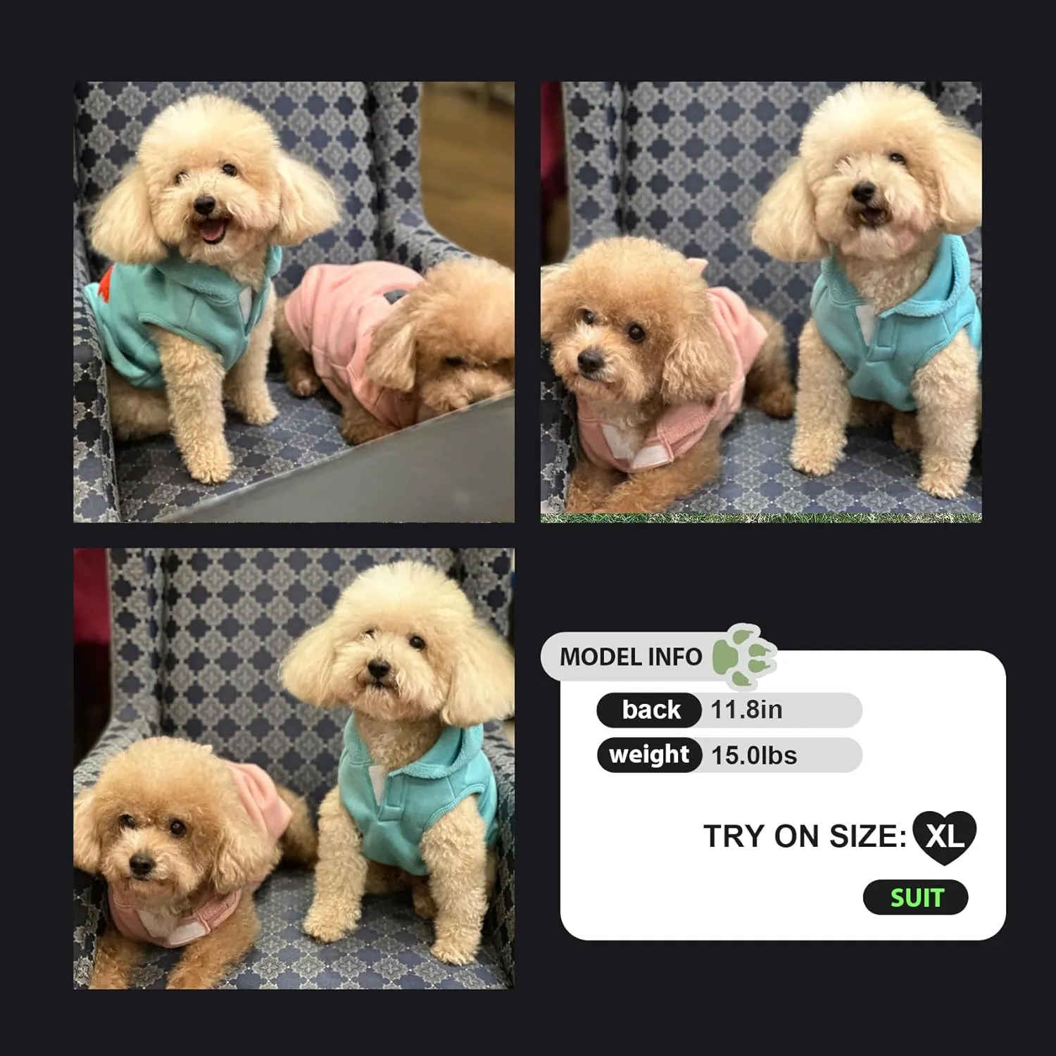 Winter Hoodie Coat for Dogs - Plush Vest Jacket, Autumn Warm Clothes (Blue-2XL)
