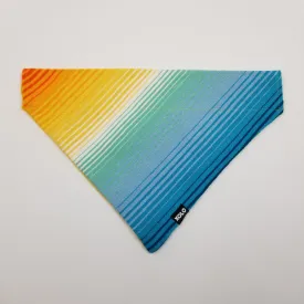 XL RETRO SARAPE DOG BANDANA 303